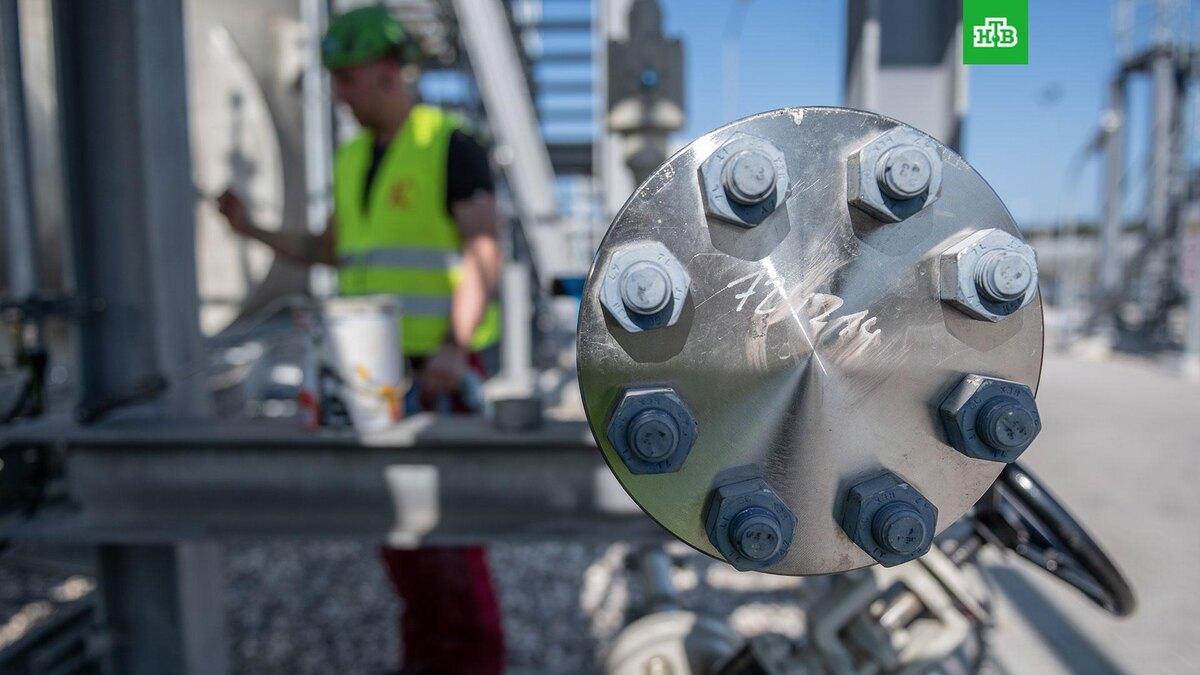    Фото: РИА Новости © 2025, Дмитрий Лельчук