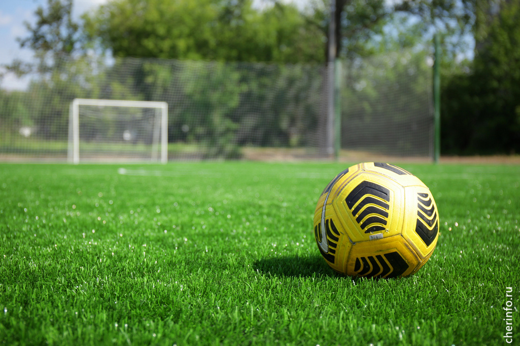    Матч чемпионата России во второй лиге "Б" пройдет в субботу, 28 июня, на искусственном поле стадиона "Металлург".