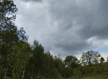 Фотография из личного архива автора