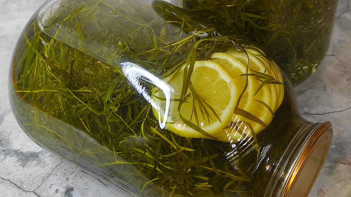 Тархун на зиму. Фото автора. 