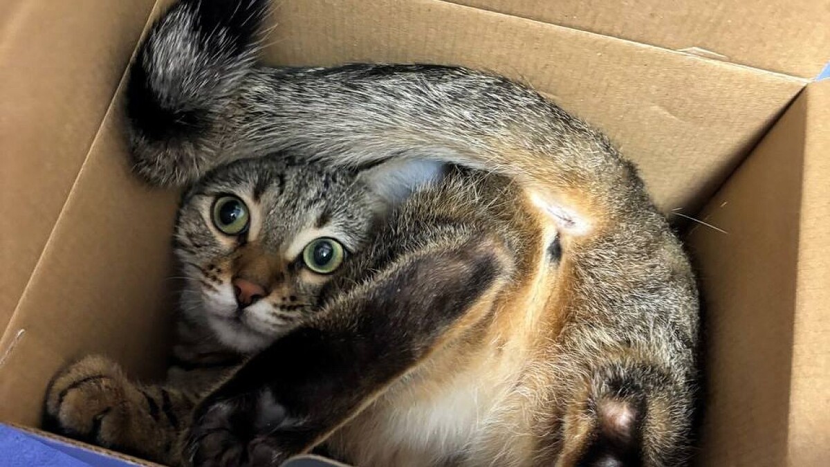    Фото: телеканал «Краснодар»