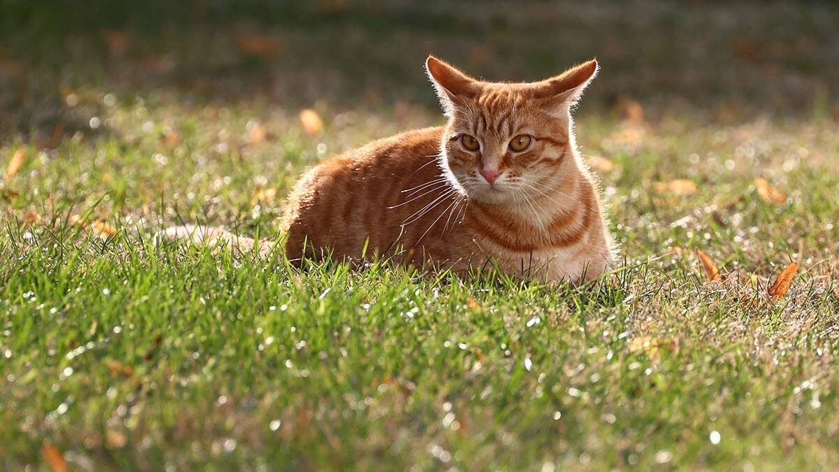    Фото: Ярослав Чингаев / АГН Москва