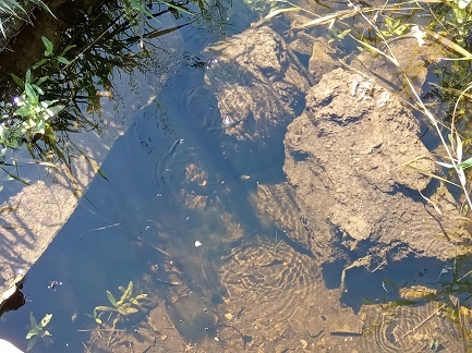 Фотография из личного архива автора