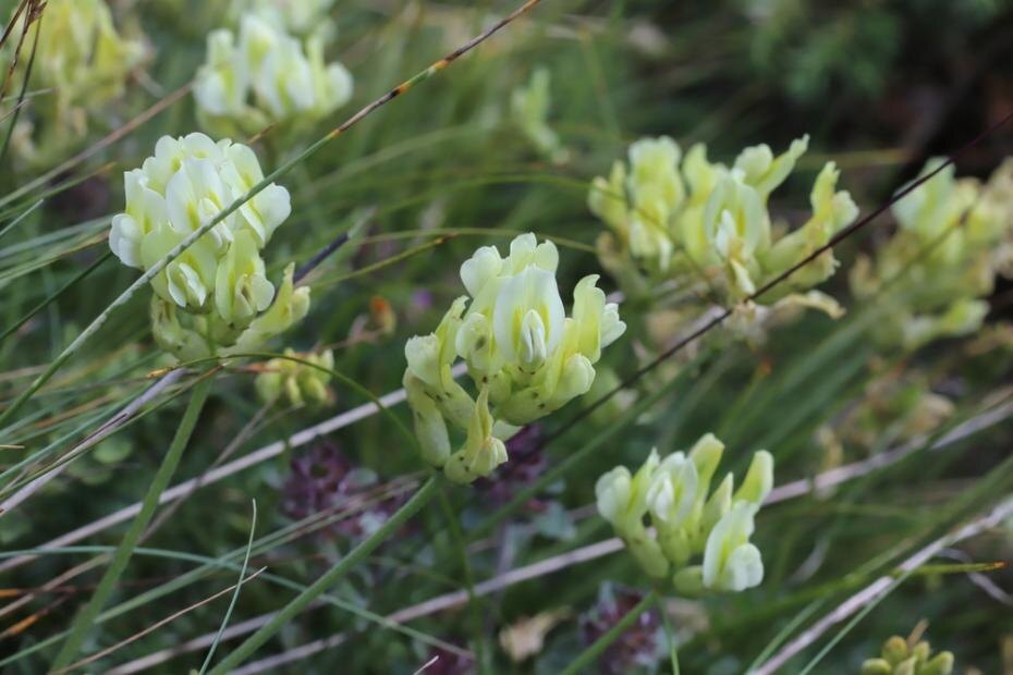    Shutterstock/FOTODOM