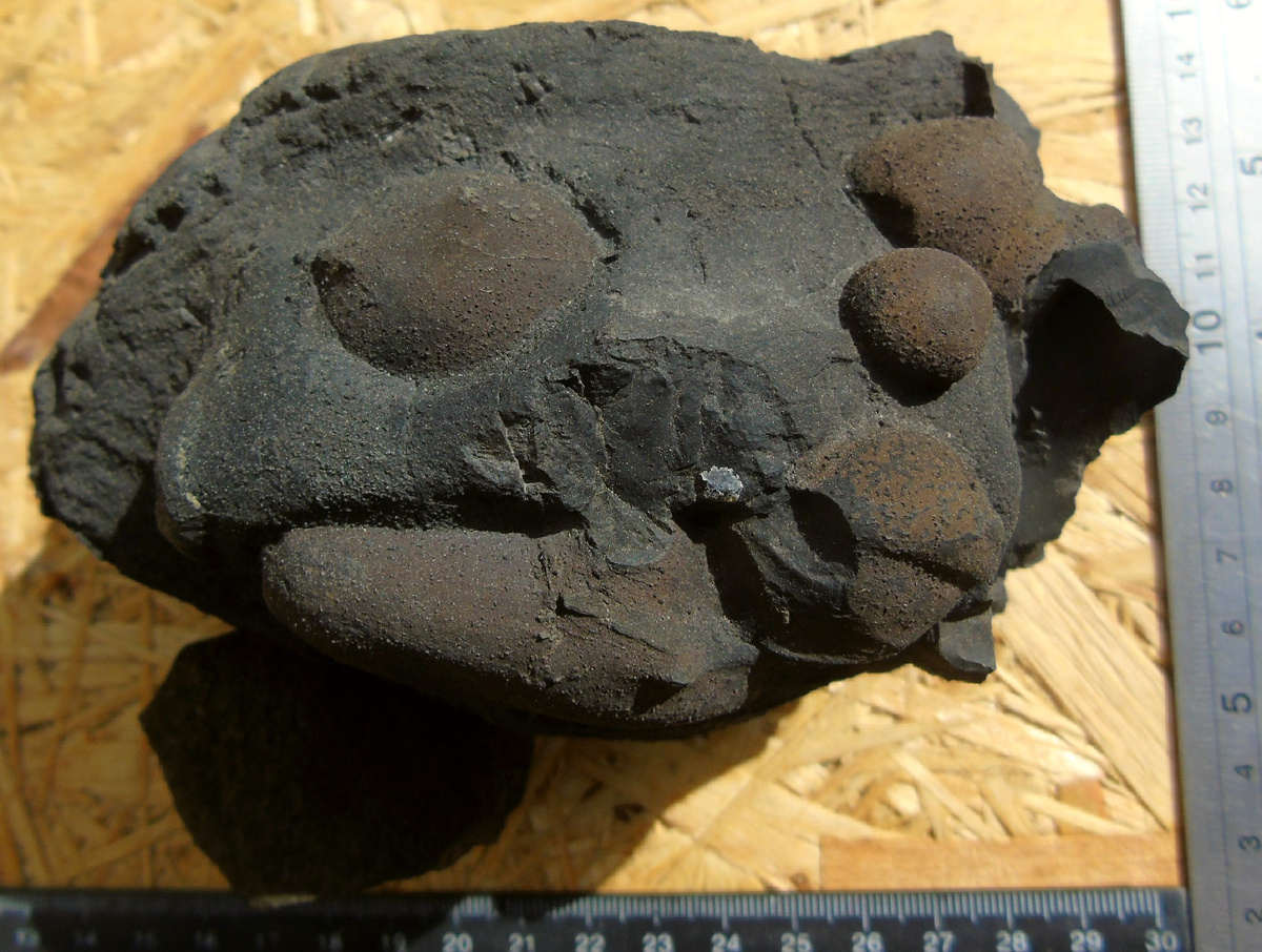 Классический тровант!