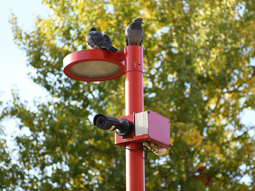 Фото: Денис Гордийко, / kzn.ru