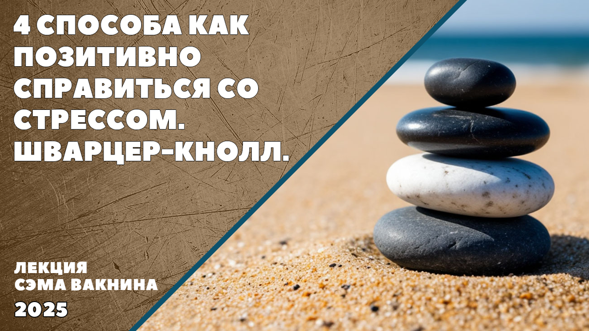 4 СПОСОБА КАК ПОЗИТИВНО СПРАВИТЬСЯ СО СТРЕССОМ. ШВАРЦЕР-КНОЛЛ.