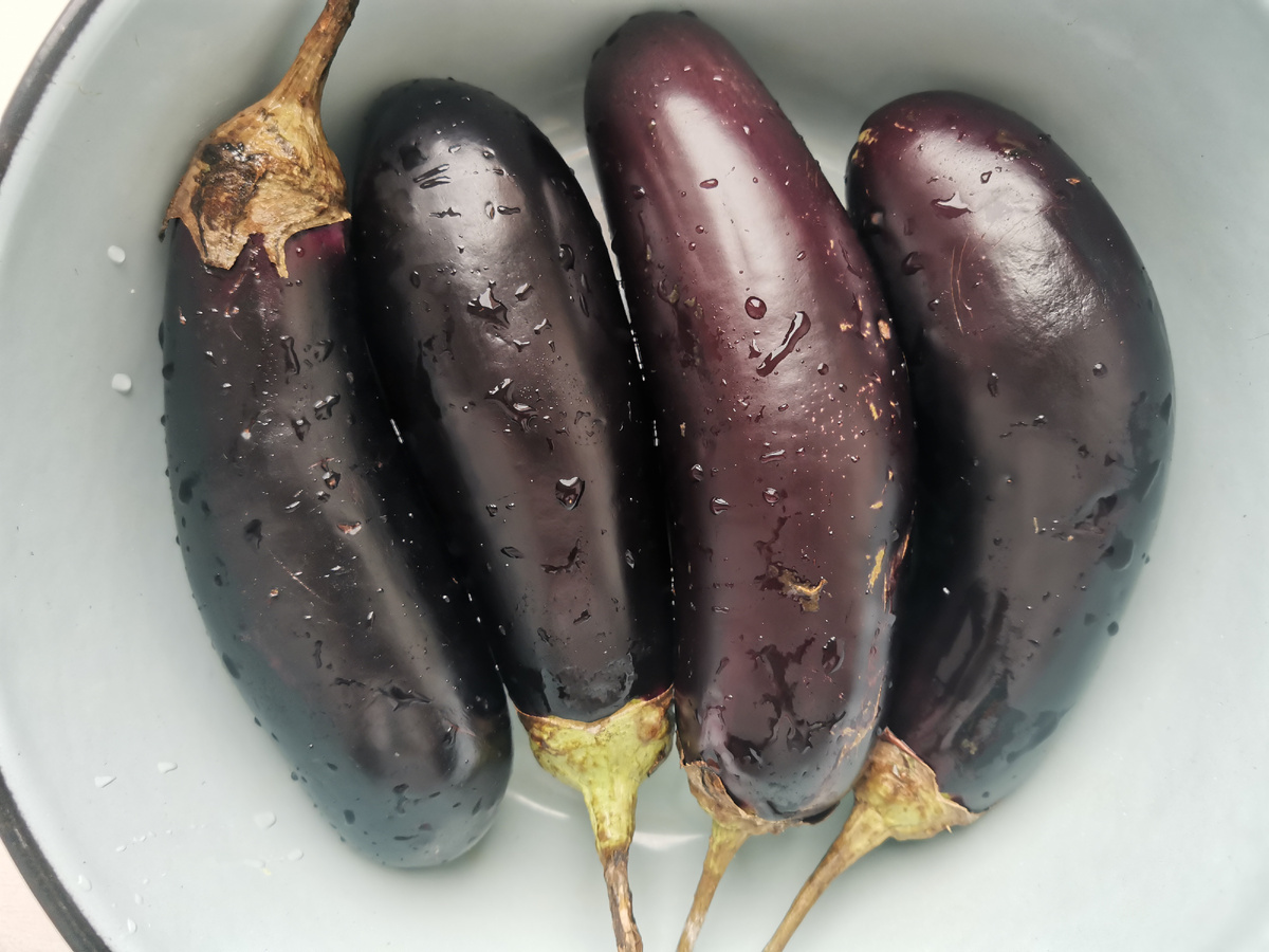 Мытые баклажаны