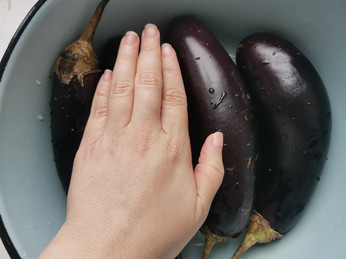 Их размер относительно моей руки