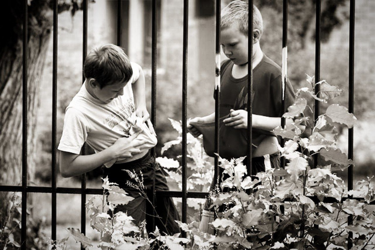 Фото с просторов всемирной паутины.