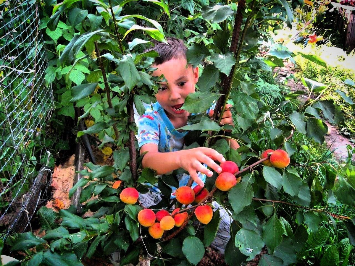 Фото с просторов всемирной паутины.