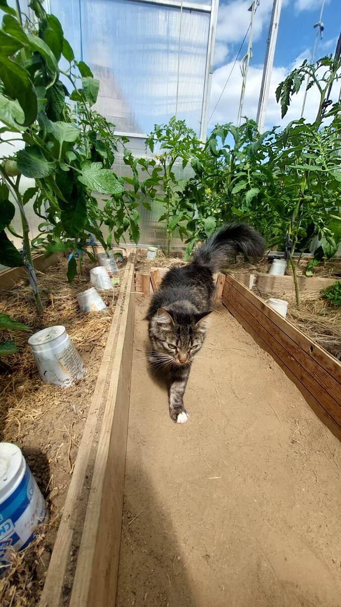 Фото из личного архива.