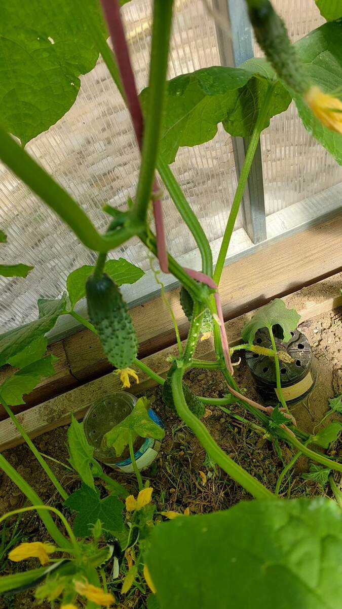 Фото из личного архива.