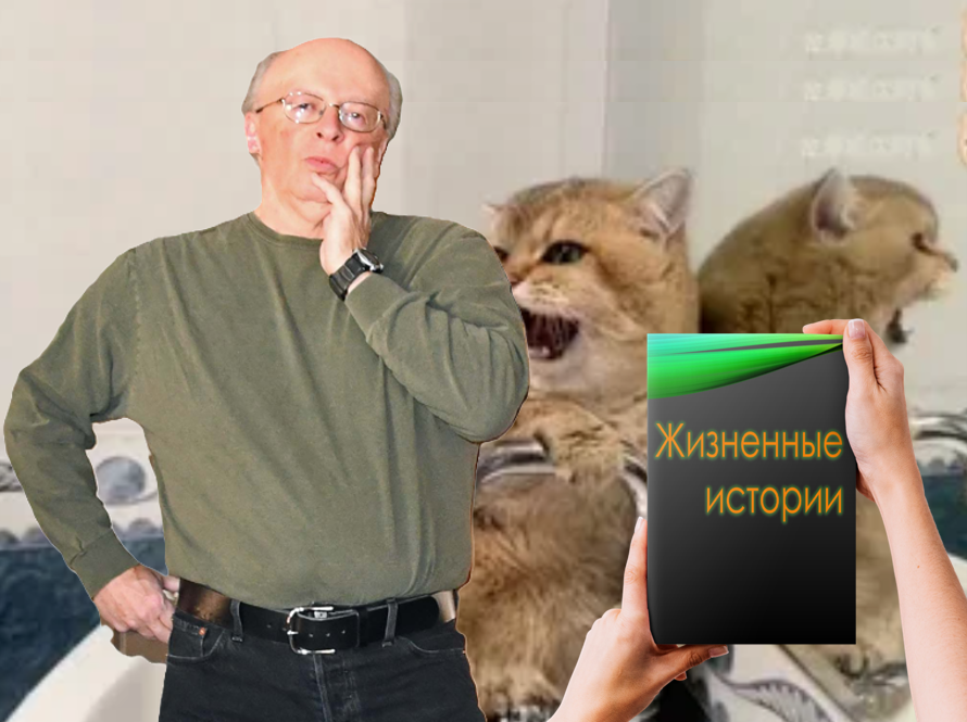 Кот чуть не довёл тестя до сердечного приступа! 