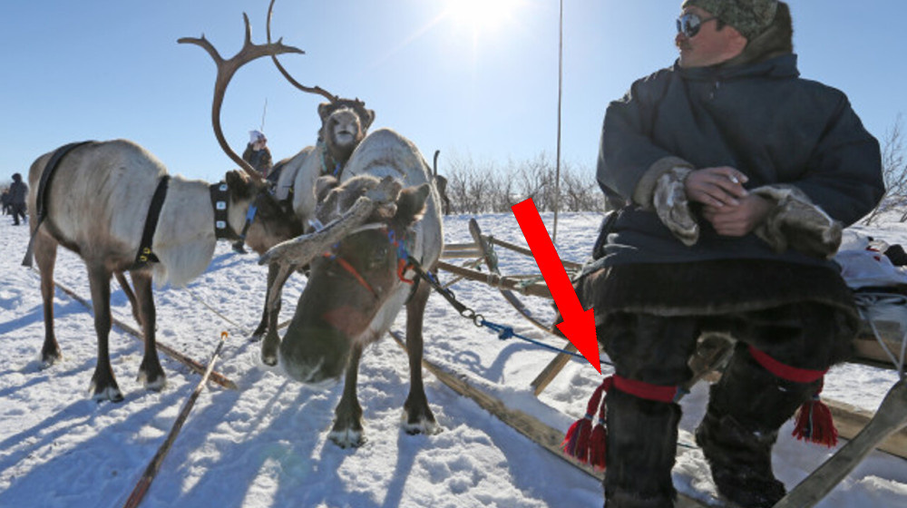    Тайна предков ненцев раскрыта учеными