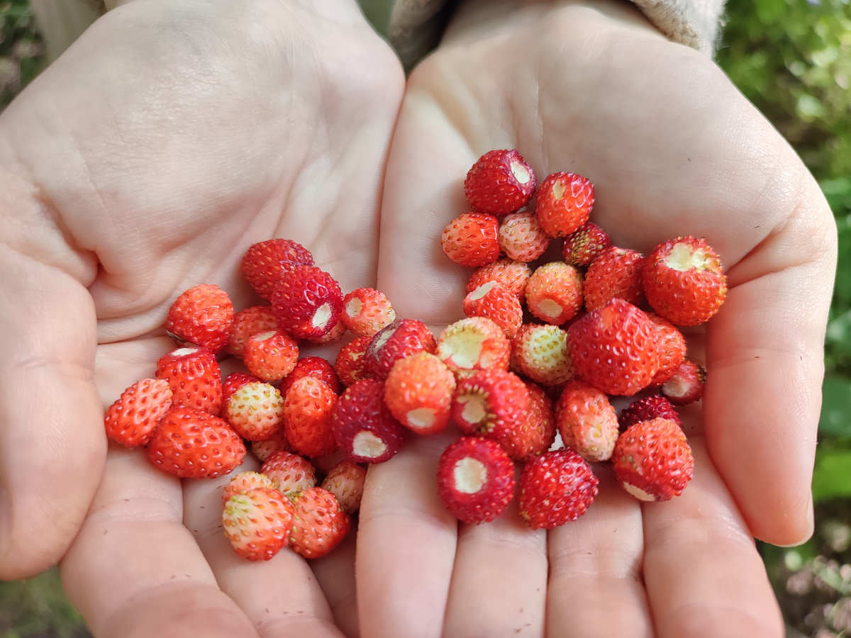 Руки любимой жены