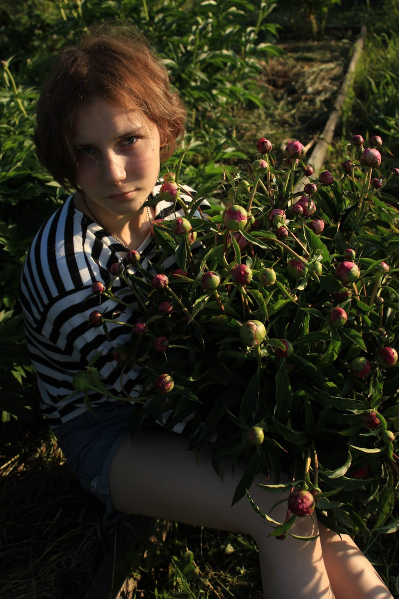 Первые деньги мы получили за эти пионы. Хорошо, но мало.