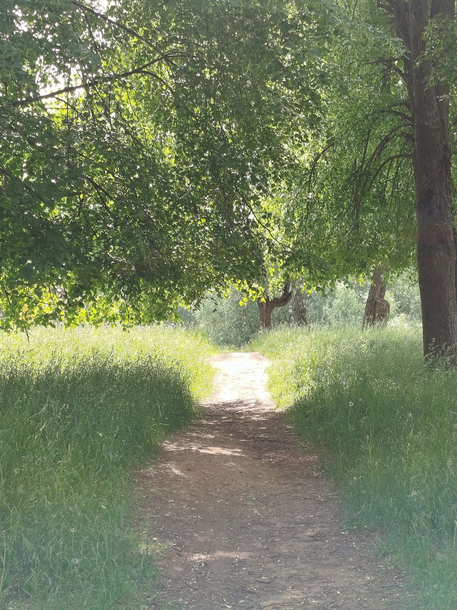 Селище, Кострома