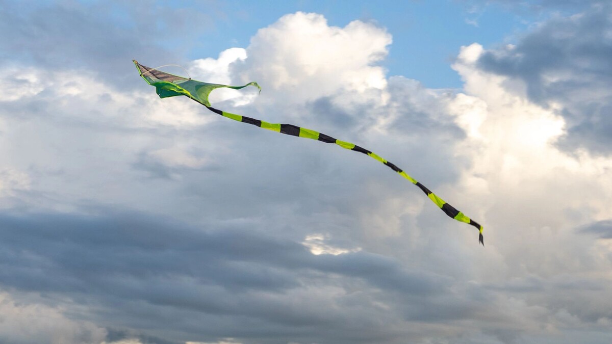    Фото: Федор Воронов / «Ямал-Медиа»