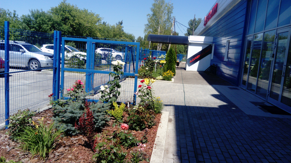 мои  подшефные владения