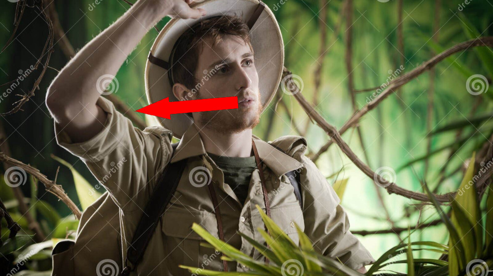    Тайна экспедиции Стэнли в джунглях Конго что скрывают темные леса Африки