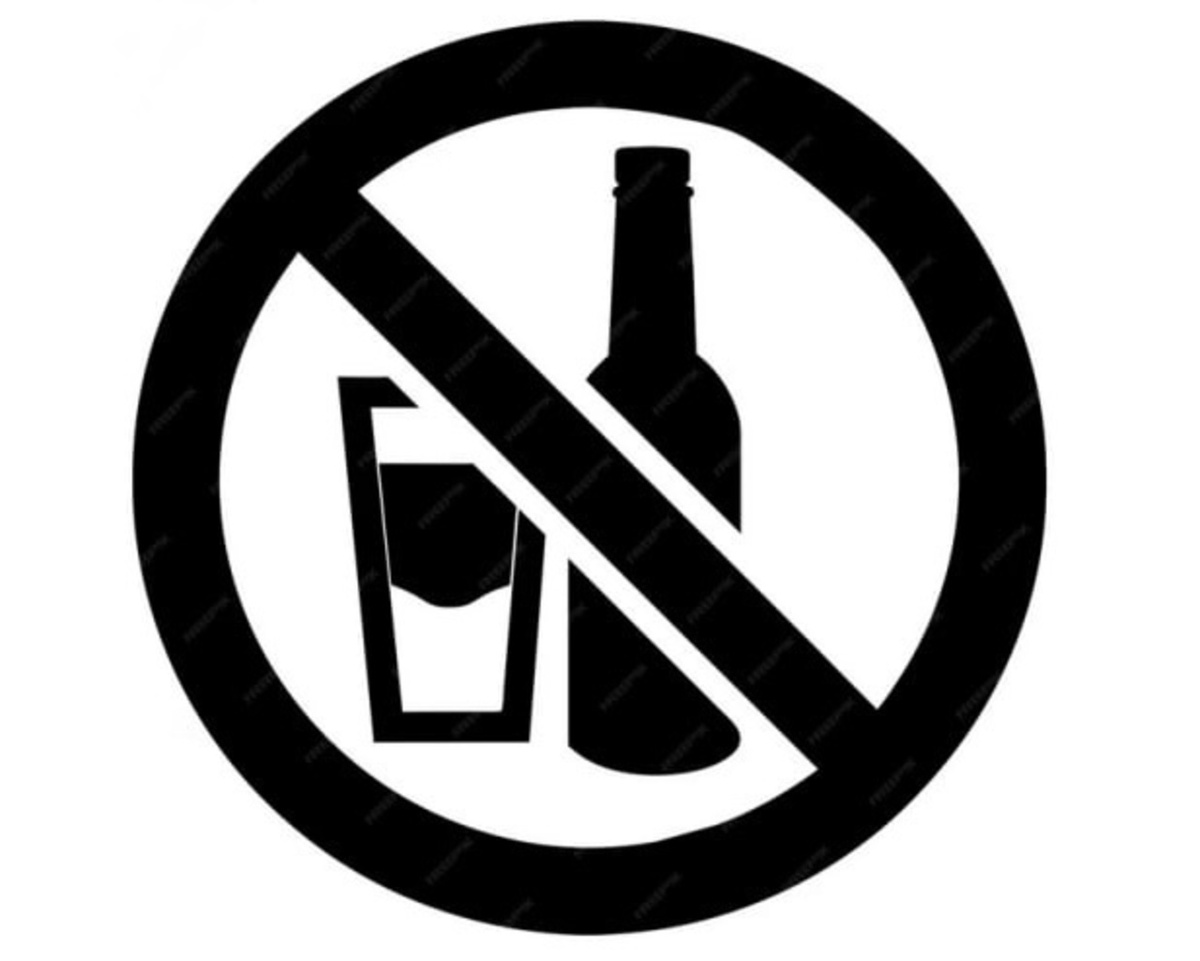    День молодежи в Курской области — без градуса