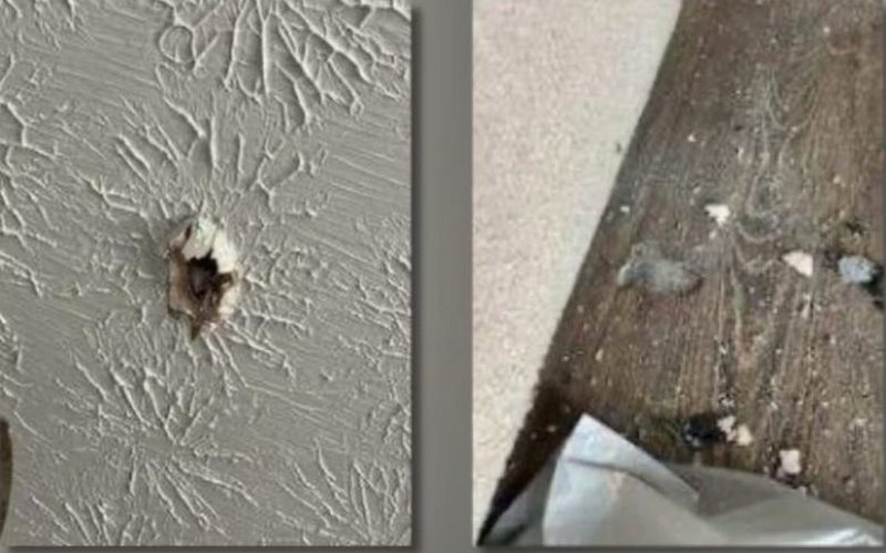    Источник изображения: X