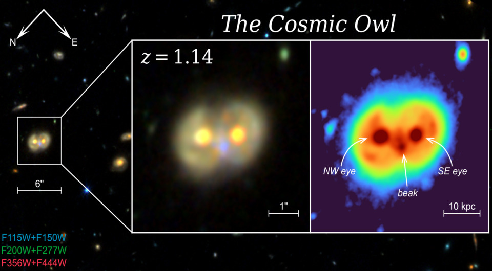   Mingyu Li et al. / arXiv, 2025