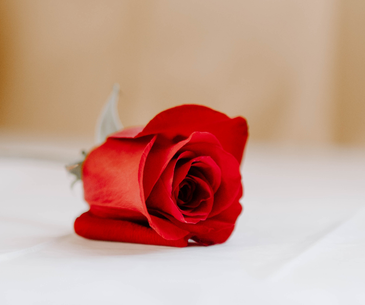 Фото с сайта Freepik.com