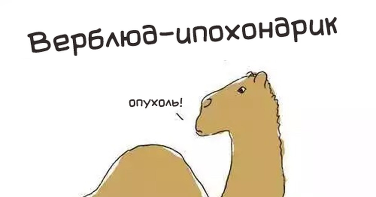 https://pikabu.ru/story/verblyudipokhondrik_4592414