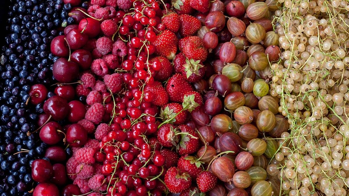    Фото: Shutterstock