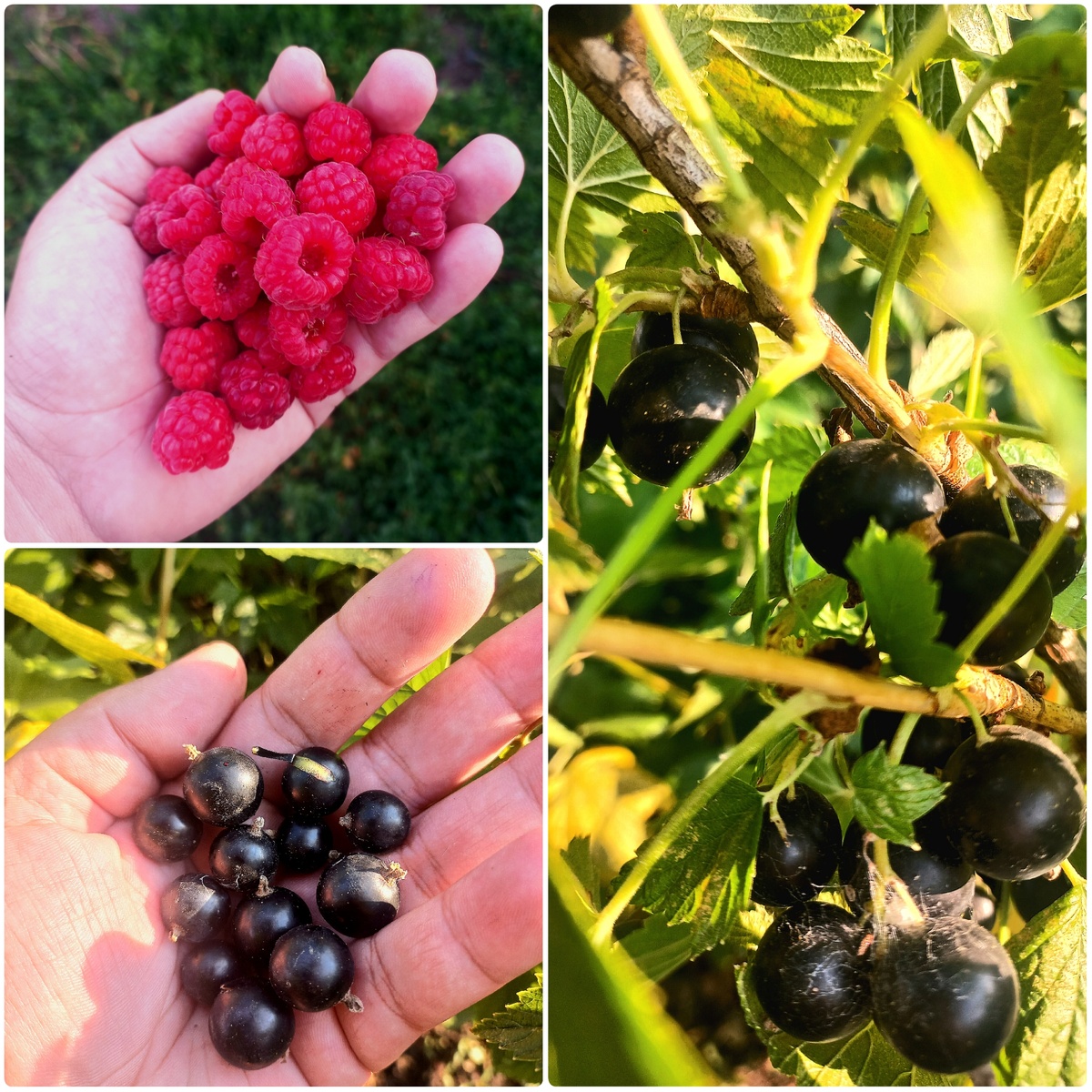 Фотография автора канала "Симфония уютного быта"