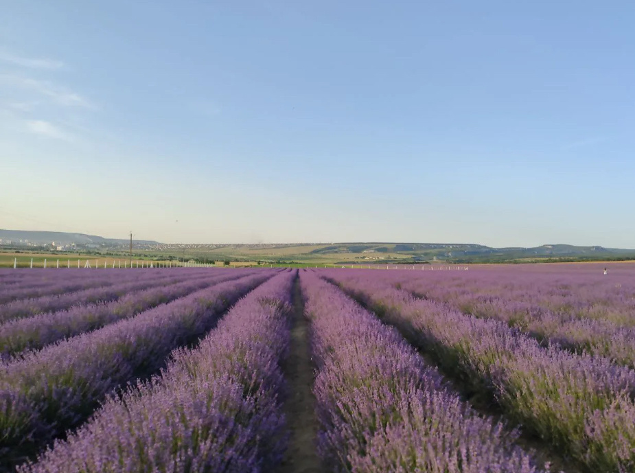 Фото из интернета