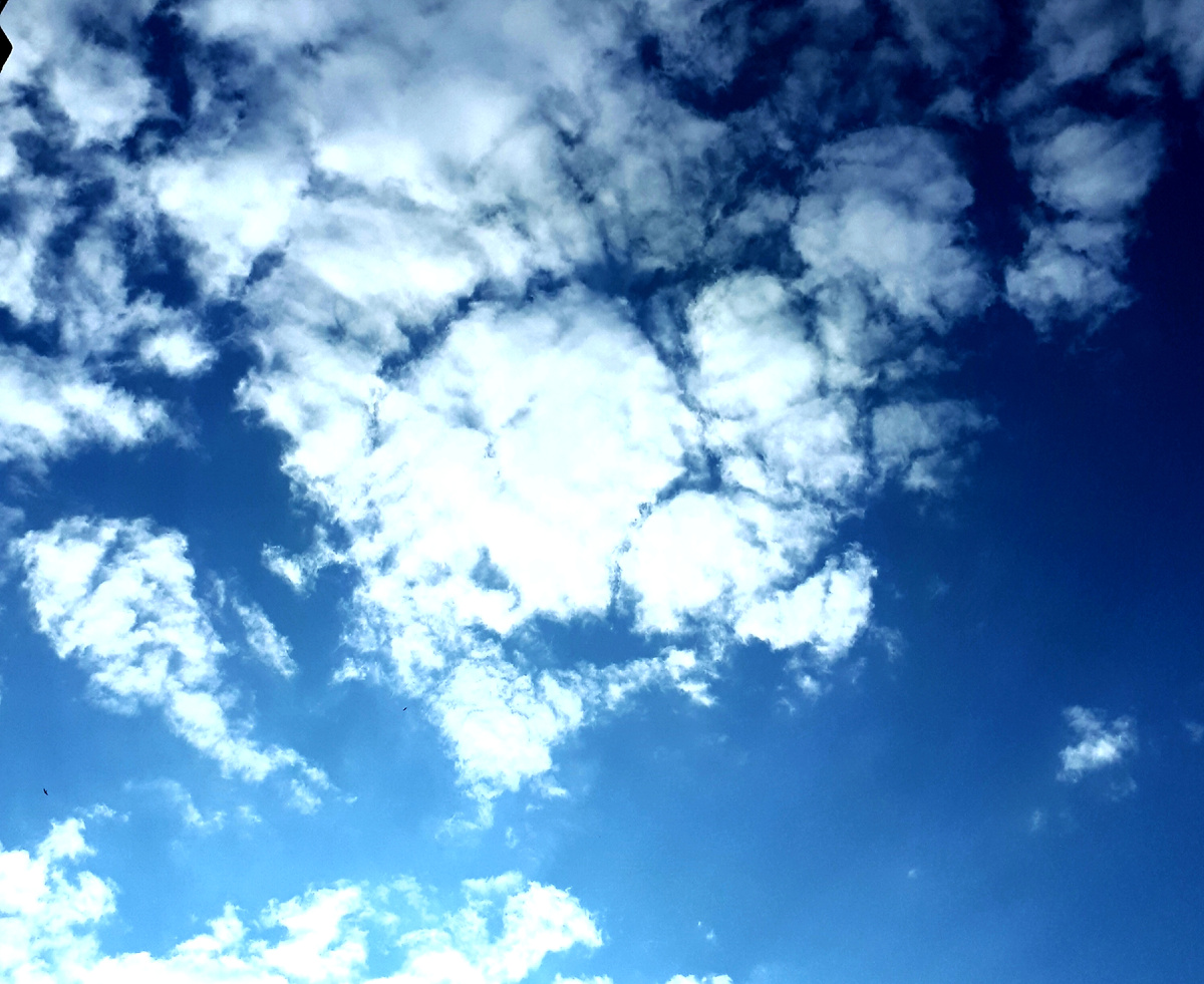 Фото автора 27.06.2025г.