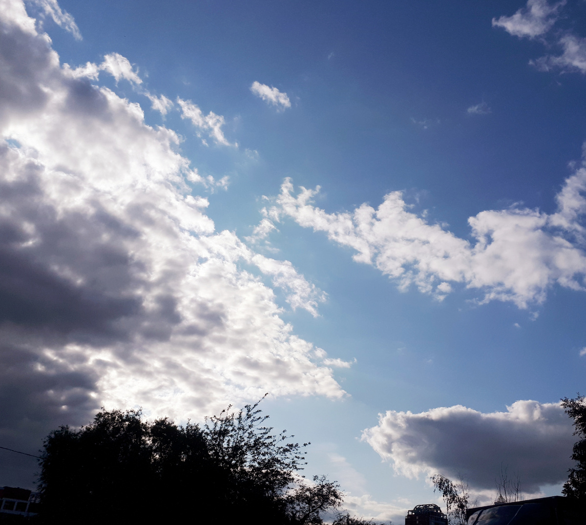 Фото автора 26.06.2025г.