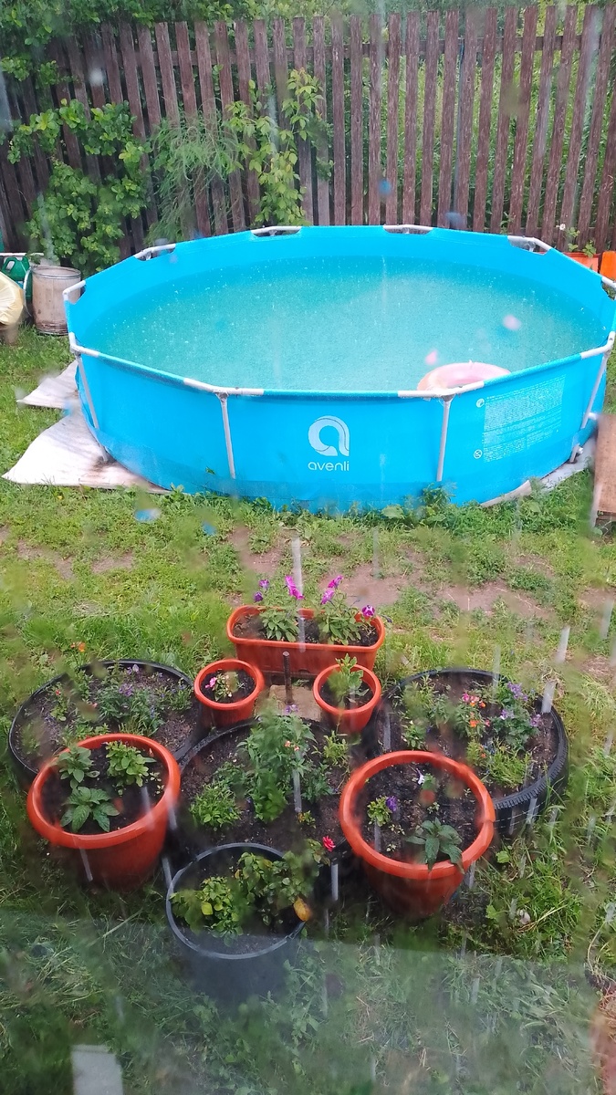 Дождь за окном