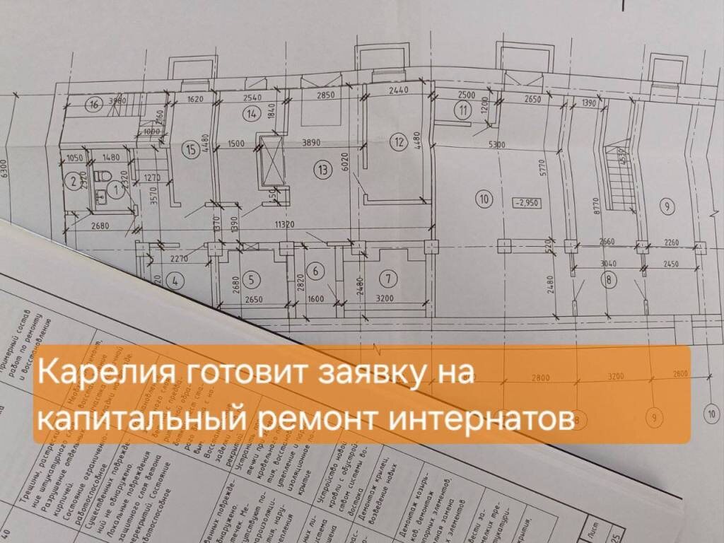    Фото: Минсоцзащиты Карелии