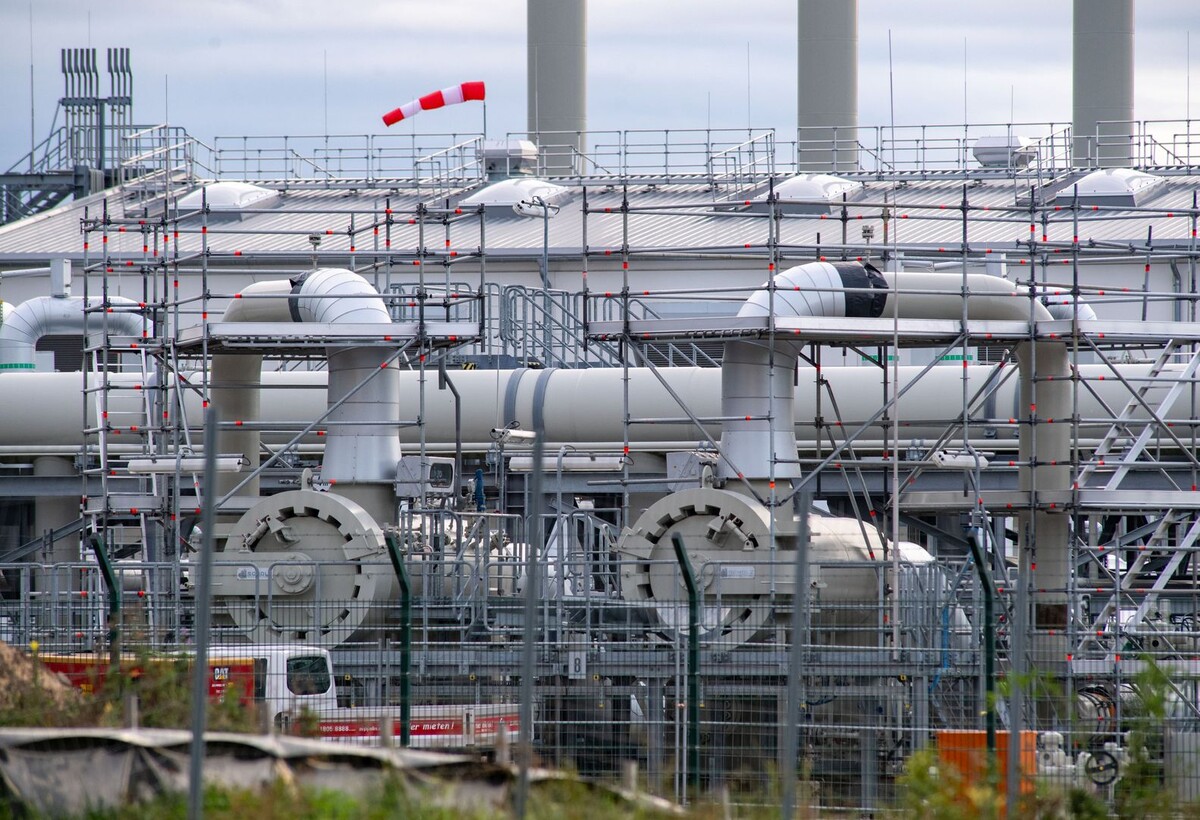     / Источник: ©ТАСС/Stefan Sauer/dpa