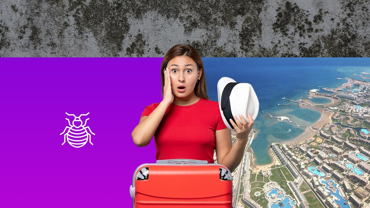 Коллаж 78.ru: Andrey Nekrasov/globallookpress.com, freepik.com/KamranAydinov, unsplash.com, flaticon.com/Nadiinko