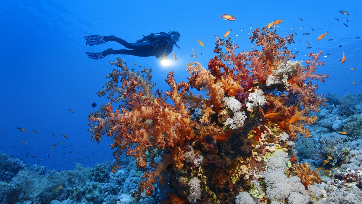 Фото: Norbert Probst/globallookpress.com