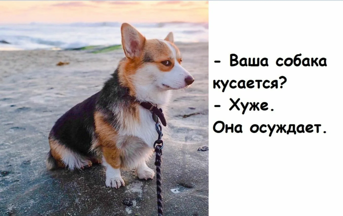 Яндекс.Картинки