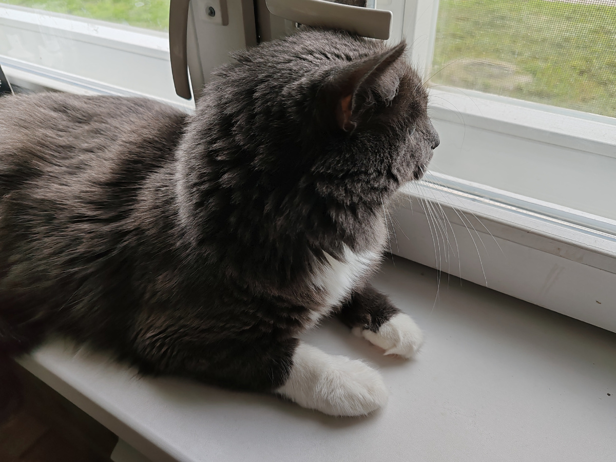 Фото автора канала. 