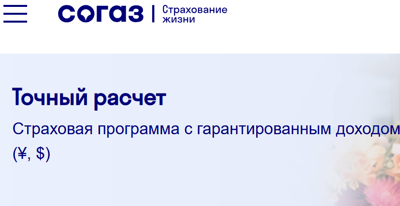Полис НСЖ Точный расчёт. Скриншот страницы с официального сайта Согаза.