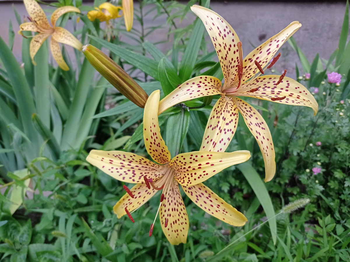 Фото из личного архива