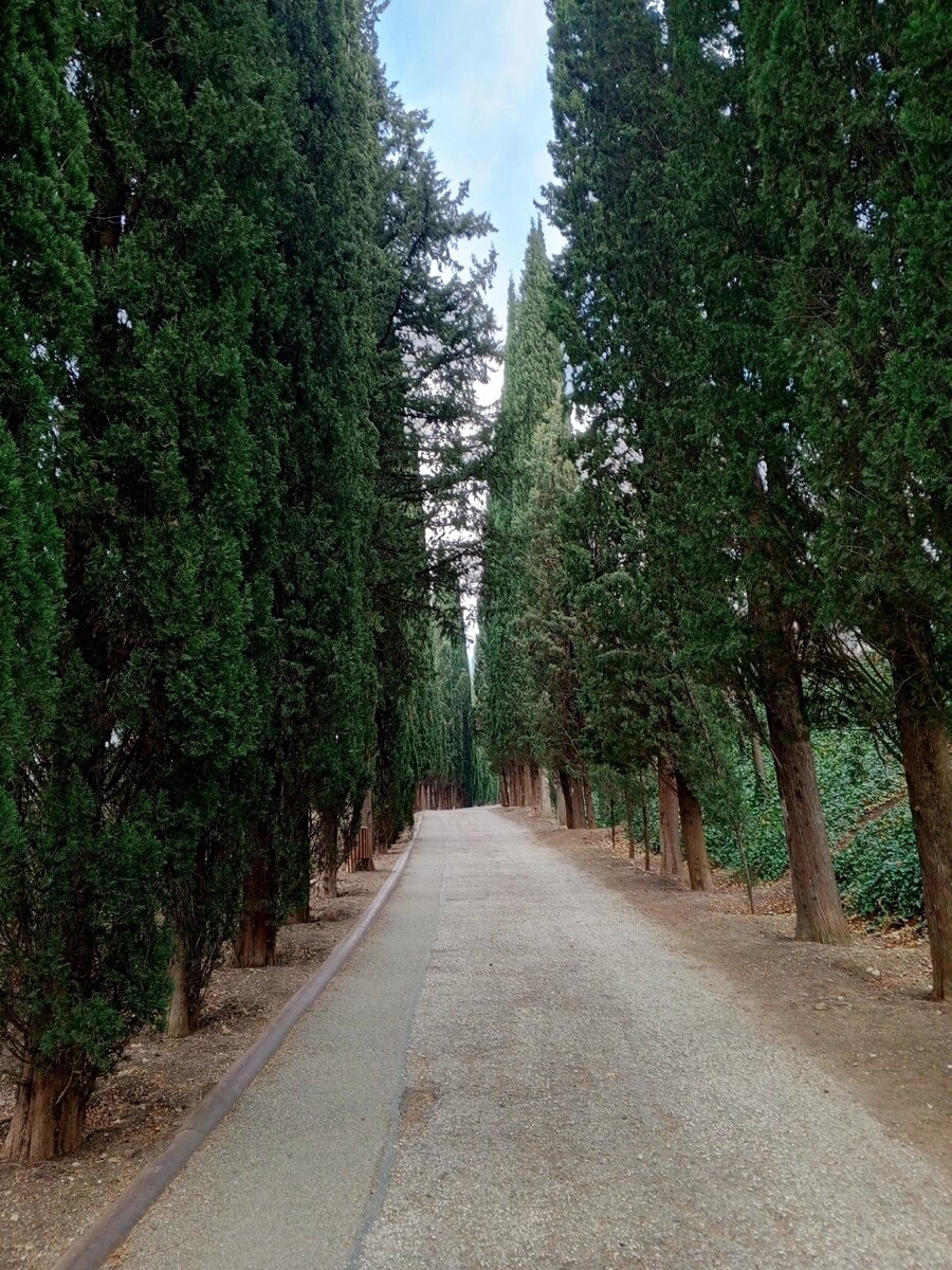 Красивое место. Я бы назвала его "дорога спокойствия"