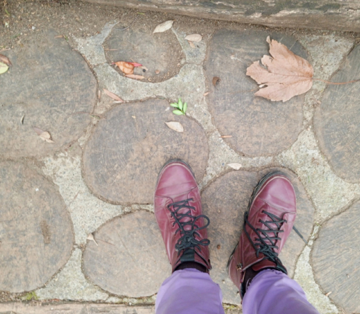 Зима в Тбилиси похожа на позднюю осень