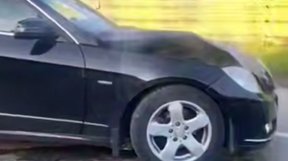    Фото: Скриншот с видео / Telegram / Клопс