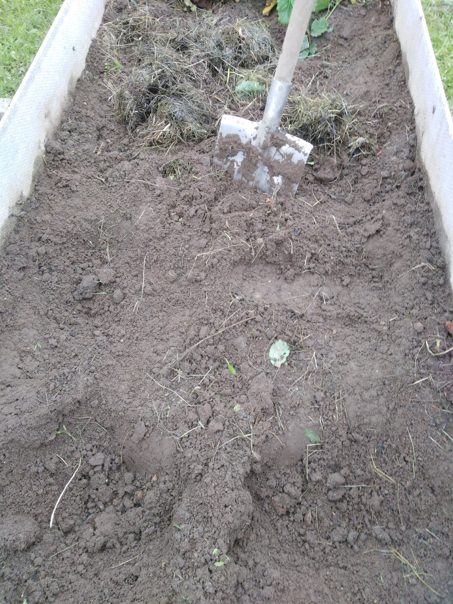 выкапываем.