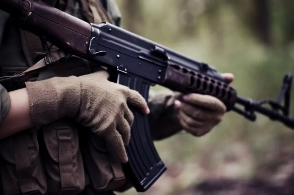    Во Владимирской области обнаружили сайты по продаже снайперских винтовок