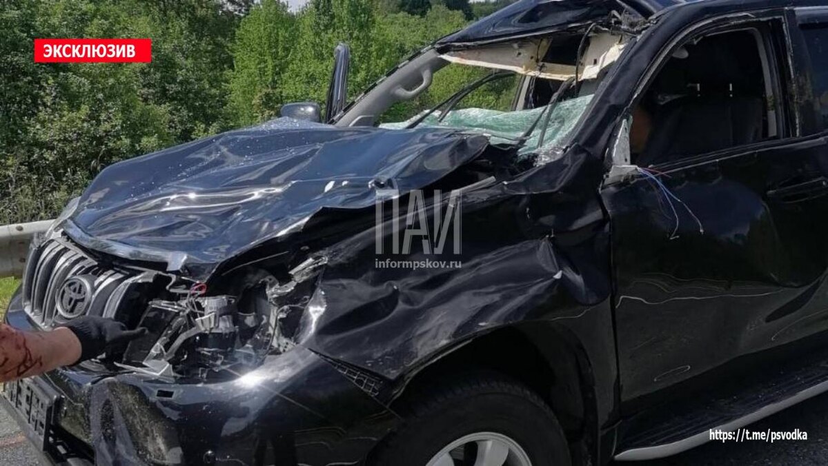 ДТП с лосём
Фото: Telegram-канал «Псковская сводка. ПАИ»